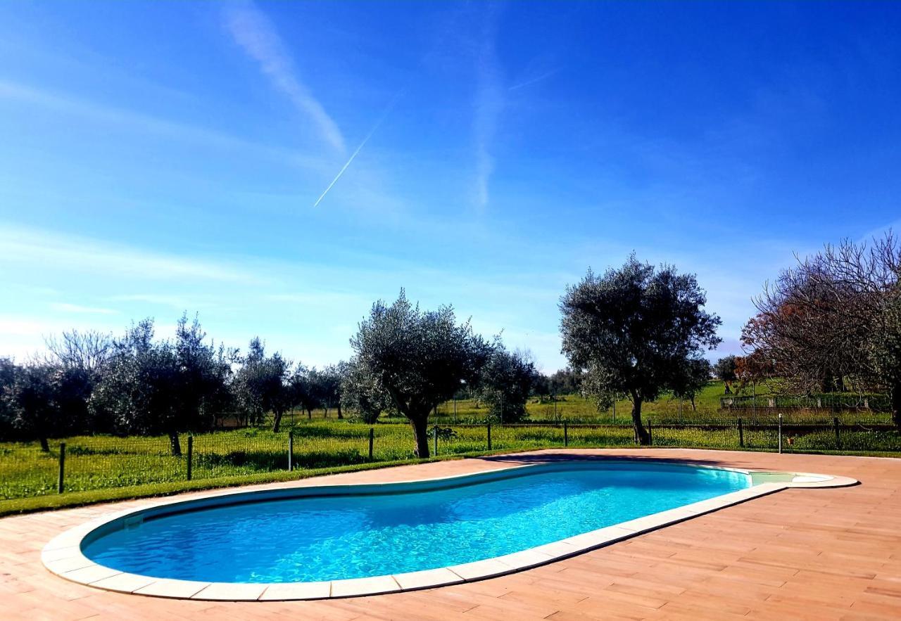 Oliveira Country House Figueira e Barros Ngoại thất bức ảnh